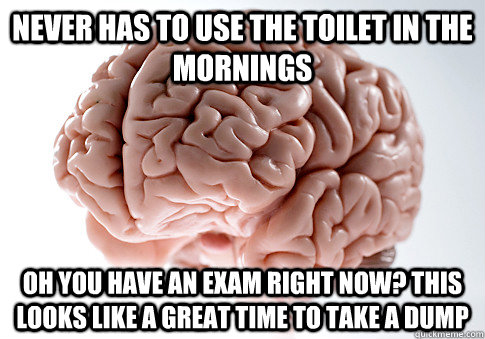 Never has to use the toilet in the mornings Oh you have an exam right now? This looks like a great time to take a dump  Scumbag Brain