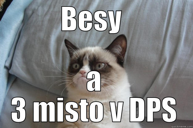 BESY  A 3 MISTO V DPS Grumpy Cat