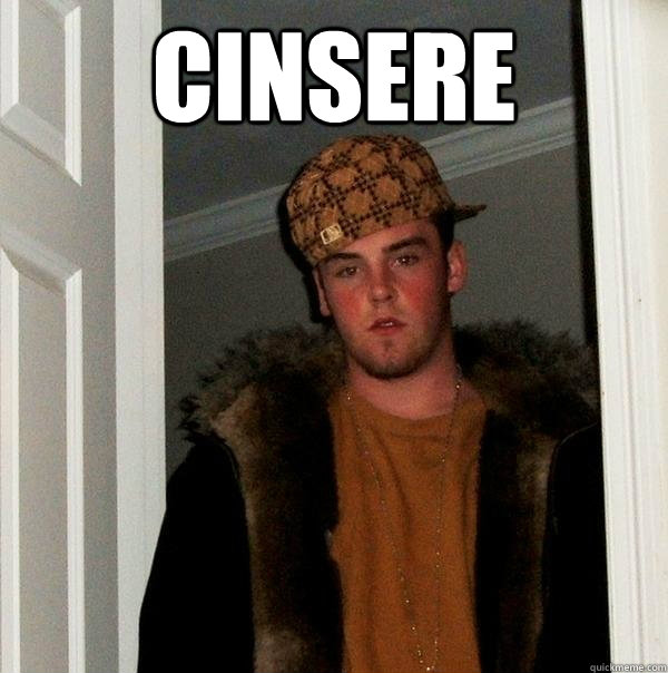 Cinsere   Scumbag Steve