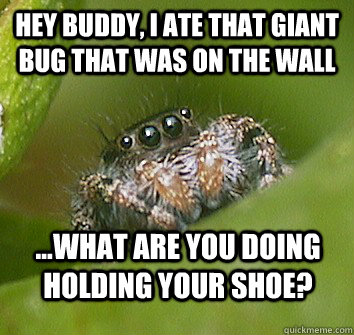 Hey buddy, I ate that giant bug that was on the wall ...what are you doing holding your shoe?  Misunderstood Spider