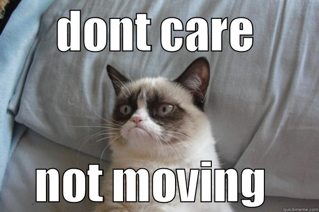 DONT CARE NOT MOVING  Grumpy Cat