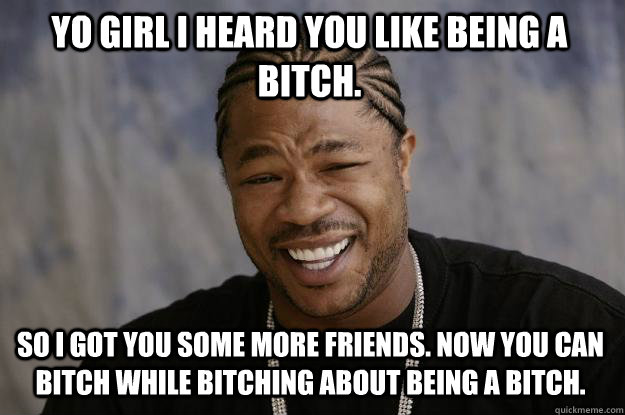 Yo Girl I heard you like being a bitch. So I got you some more friends. now you can bitch while bitching about being a bitch.  Xzibit meme