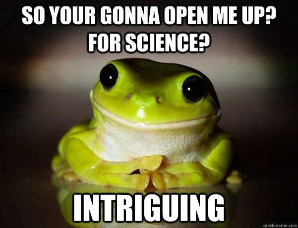 So your gonna open me up? For science? Intriguing  Fascinated Frog