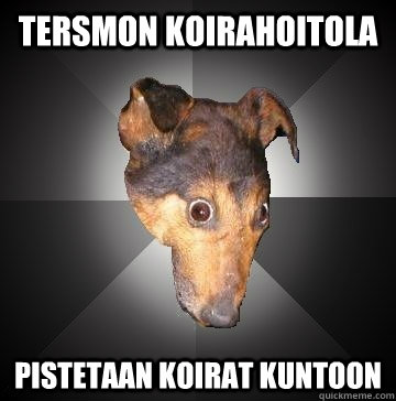 TERSMON KOIRAHOITOLA PISTETAAN KOIRAT KUNTOON  - TERSMON KOIRAHOITOLA PISTETAAN KOIRAT KUNTOON   Depression Dog