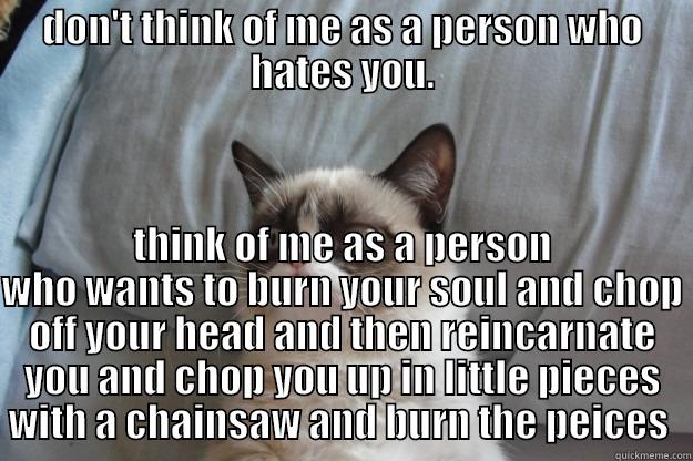 DON'T THINK OF ME AS A PERSON WHO HATES YOU. THINK OF ME AS A PERSON WHO WANTS TO BURN YOUR SOUL AND CHOP OFF YOUR HEAD AND THEN REINCARNATE YOU AND CHOP YOU UP IN LITTLE PIECES WITH A CHAINSAW AND BURN THE PIECES  Grumpy Cat