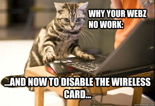 Why your webz no work: ...and now to disable the wireless card...   Angry Computer Cat