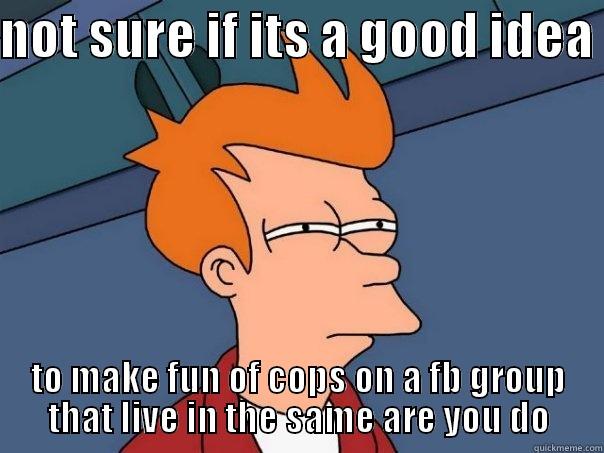 NOT SURE IF ITS A GOOD IDEA  TO MAKE FUN OF COPS ON A FB GROUP THAT LIVE IN THE SAME ARE YOU DO Futurama Fry