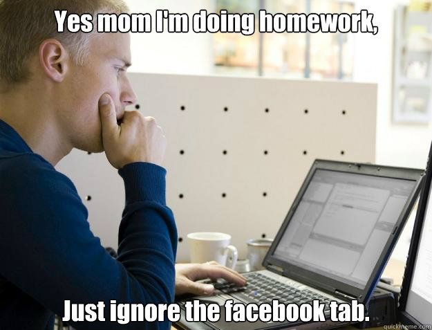 Yes mom I'm doing homework, Just ignore the facebook tab.  Programmer