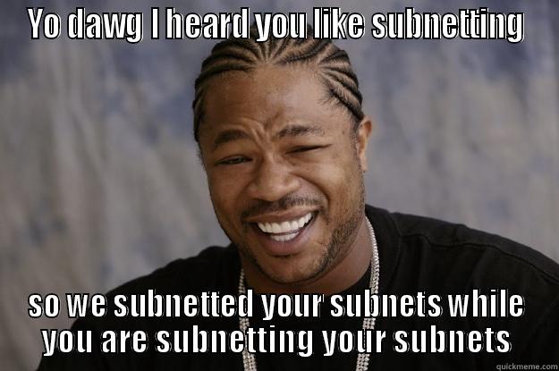 network techs will know this - YO DAWG I HEARD YOU LIKE SUBNETTING SO WE SUBNETTED YOUR SUBNETS WHILE YOU ARE SUBNETTING YOUR SUBNETS Xzibit meme