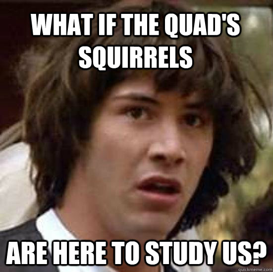 What if the quad's squirrels are here to study us?  conspiracy keanu