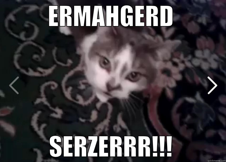 ERMAHGERD SERZERRR!!! Misc