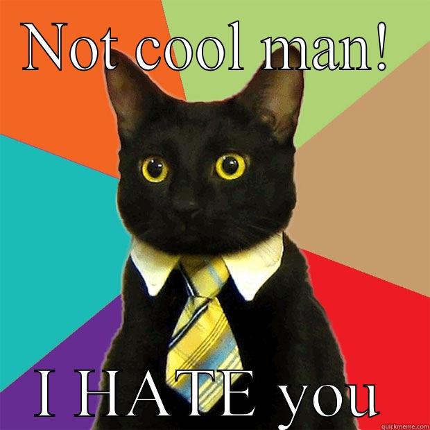 NOT COOL MAN! I HATE YOU Business Cat