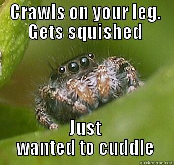 Misunderstood spider - CRAWLS ON YOUR LEG. GETS SQUISHED JUST WANTED TO CUDDLE Misunderstood Spider