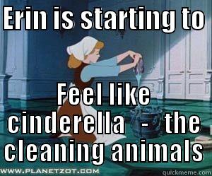 Tired of cleaning Crap - ERIN IS STARTING TO  FEEL LIKE CINDERELLA   -   THE CLEANING ANIMALS Misc