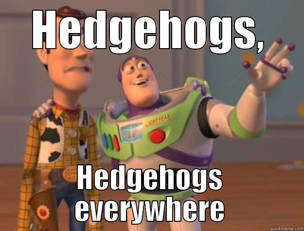 HEDGEHOGS, HEDGEHOGS EVERYWHERE Toy Story