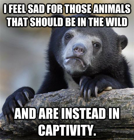 I feel sad for those animals that should be in the wild and are instead in captivity.  Confession Bear