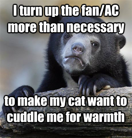 I turn up the fan/AC more than necessary to make my cat want to cuddle me for warmth  Confession Bear