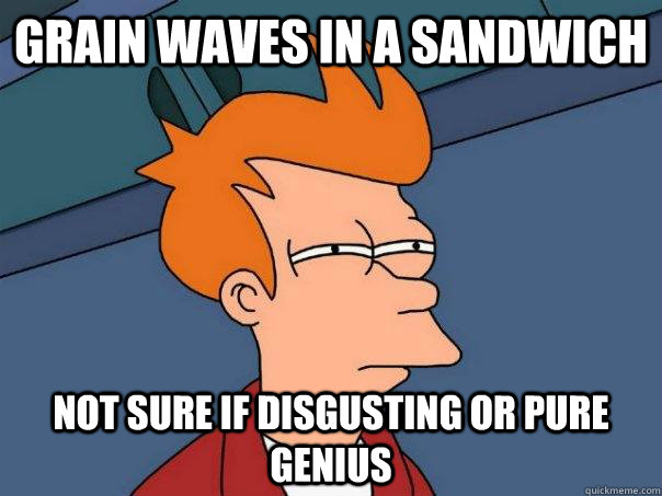 grain waves in a sandwich  not sure if disgusting or pure genius  Futurama Fry