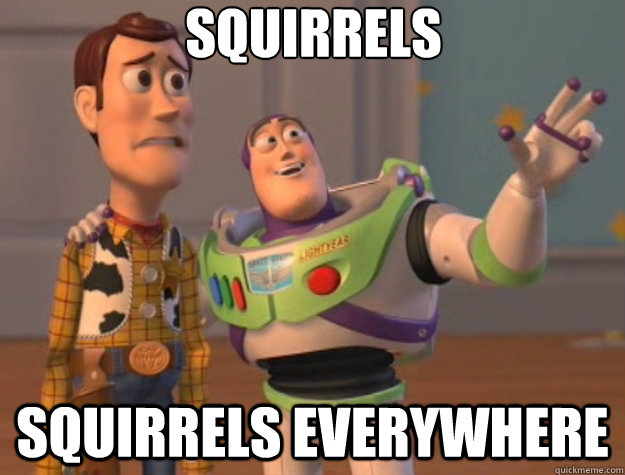 Squirrels squirrels everywhere - Squirrels squirrels everywhere  Toy Story