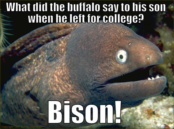 Bad Jokes 101 - WHAT DID THE BUFFALO SAY TO HIS SON WHEN HE LEFT FOR COLLEGE? BISON! Bad Joke Eel