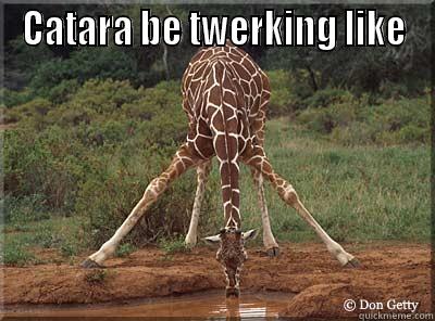 Catara be like  - CATARA BE TWERKING LIKE  Misc