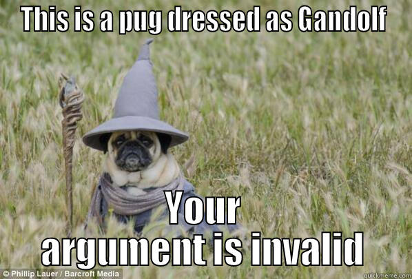 THIS IS A PUG DRESSED AS GANDOLF YOUR ARGUMENT IS INVALID Misc