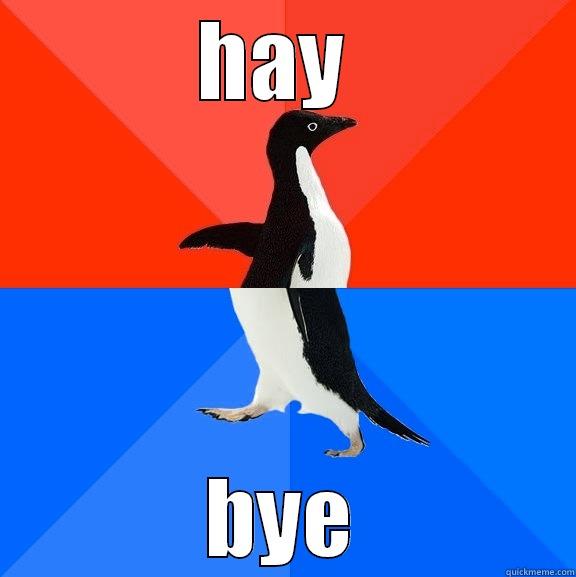 HAY  BYE Socially Awesome Awkward Penguin