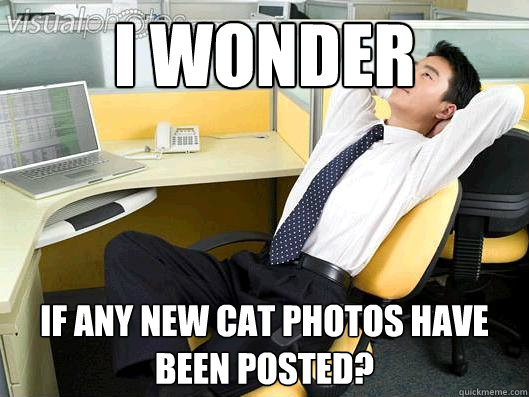 I wonder if any new cat photos have been posted?  Office Thoughts