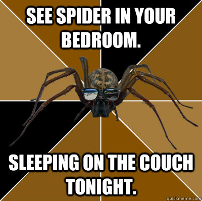 See spider in your bedroom. Sleeping on the couch tonight.  