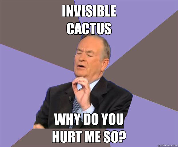 Invisible
Cactus Why do you
hurt me so?  Bill O Reilly