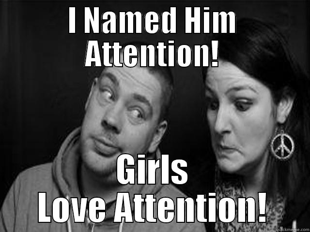 I NAMED HIM ATTENTION! GIRLS LOVE ATTENTION! Misc