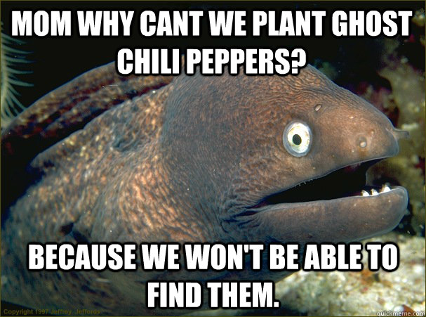 Mom why cant we plant ghost chili peppers? Because we won't be able to find them.  Bad Joke Eel