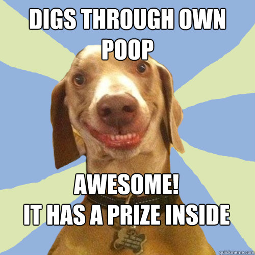 Digs through own poop Awesome!
It has a prize inside    Disgusting Doggy