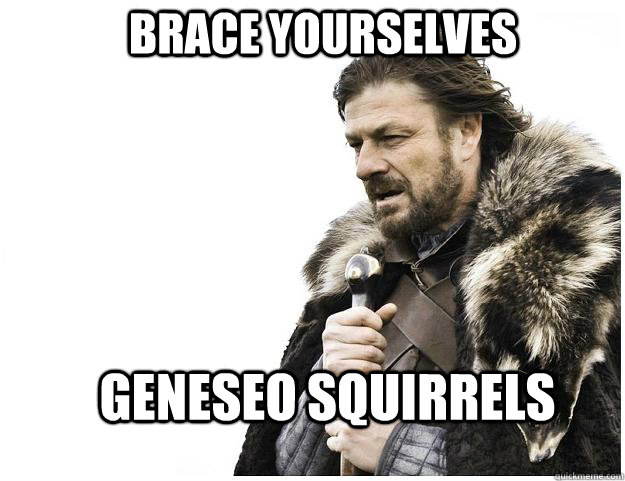 Brace yourselves Geneseo squirrels  Imminent Ned