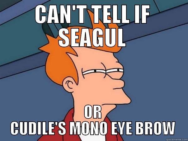 CAN'T TELL IF SEAGUL OR CUDILE'S MONO EYE BROW Futurama Fry