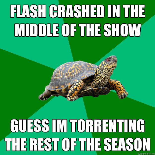 flash crashed in the middle of the show guess im torrenting the rest of the season  Torrenting Turtle