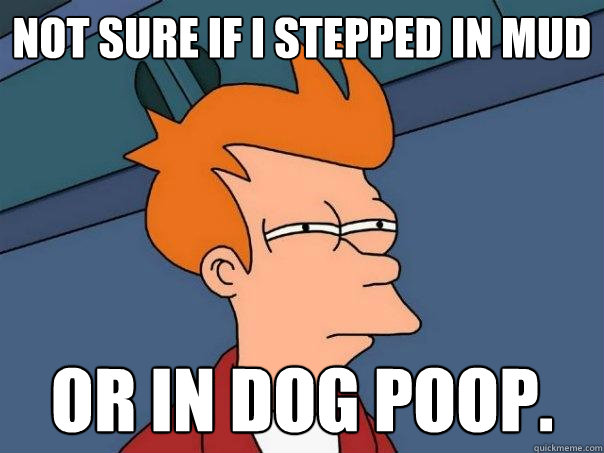 Not Sure if i stepped in mud or in dog poop.  Futurama Fry