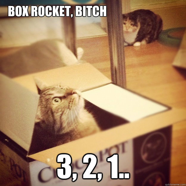 box rocket, bitch 3, 2, 1..  Cats wife