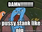 DAMN!!!!!!!!! yo pussy stank like a pig   