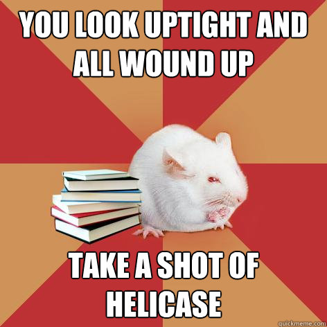 You look uptight and all wound up Take a shot of helicase  Science Major Mouse