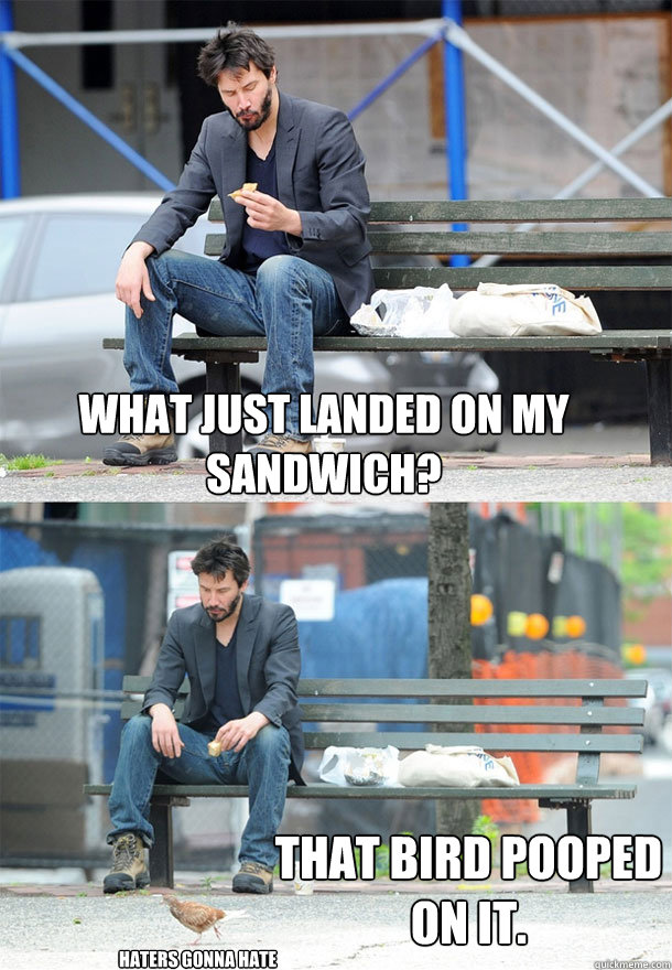 What just landed on my sandwich? That bird pooped
on it. Haters Gonna Hate  Sad Keanu