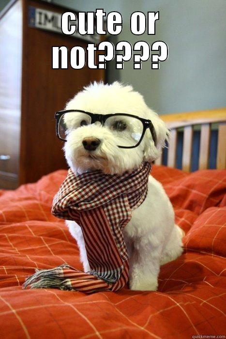 CUTE OR NOT????  Hipster Dog