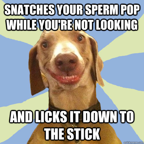 snatches your sperm pop while you're not looking and licks it down to the stick  Disgusting Doggy