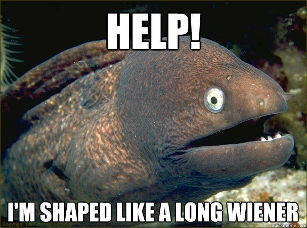 help!
 i'm shaped like a long wiener  Bad Joke Eel