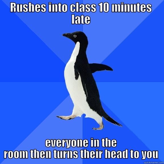 RUSHES INTO CLASS 10 MINUTES LATE EVERYONE IN THE ROOM THEN TURNS THEIR HEAD TO YOU Socially Awkward Penguin