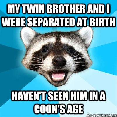 My twin brother and I were separated at birth Haven't seen him in a coon's age - My twin brother and I were separated at birth Haven't seen him in a coon's age  Lame Pun Coon