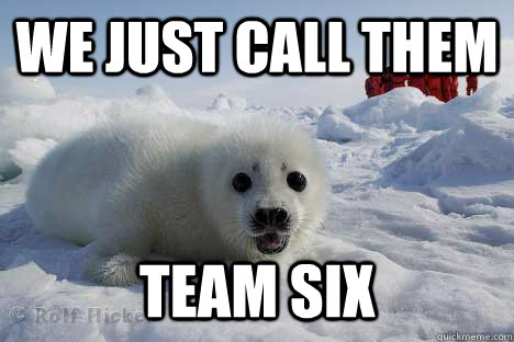 We just call them Team six  Clubbing Seal