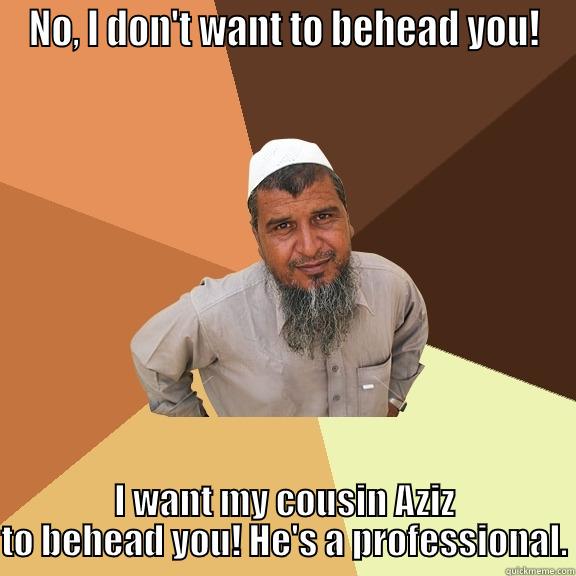 NO, I DON'T WANT TO BEHEAD YOU! I WANT MY COUSIN AZIZ TO BEHEAD YOU! HE'S A PROFESSIONAL. Ordinary Muslim Man