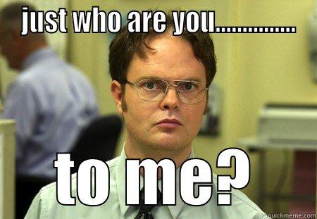  JUST WHO ARE YOU............... TO ME? Schrute