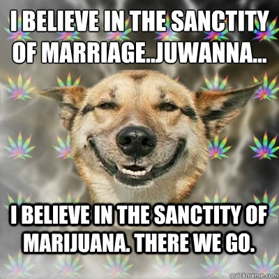 I believe in the sanctity of marriage..juwanna... i believe in The sanctity of marijuana. There we go.   Stoner Dog